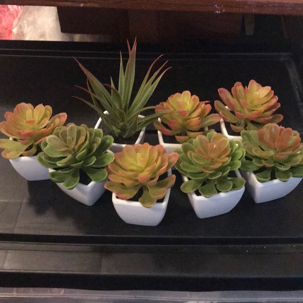 Artificial plants